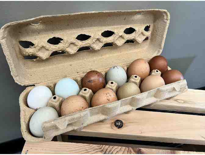 Farm Fresh Eggs for a Month!
