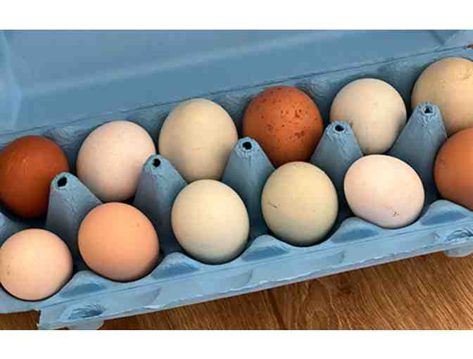 Farm Fresh Eggs for a Month!
