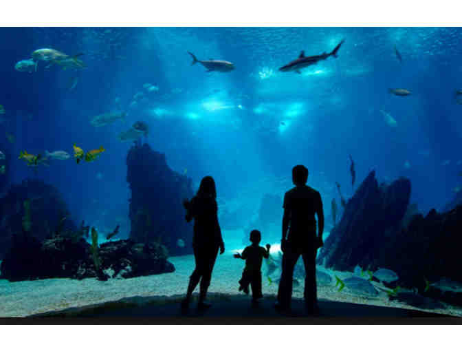 Aquarium of the Pacific - (2) Tickets