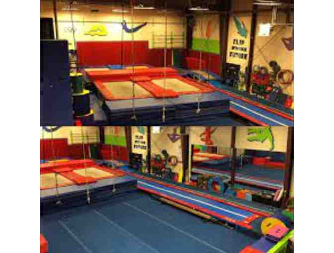Vargas Academy of Gymnastics Arts - Open Gym 10 Class Punch Card