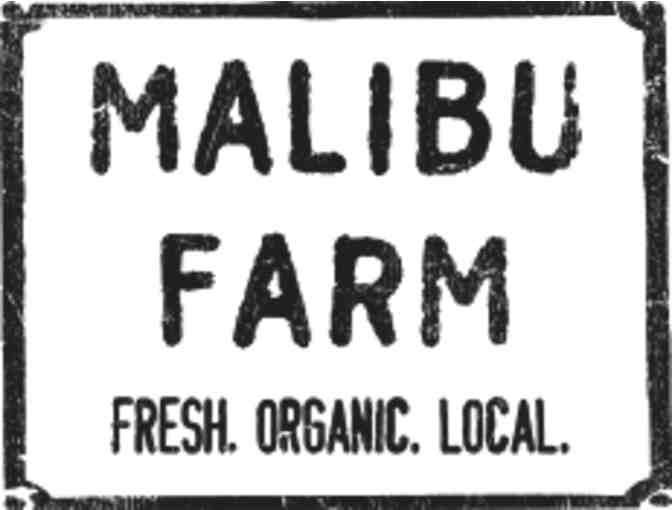 Malibu Farm - $200 Gift Card - Photo 1