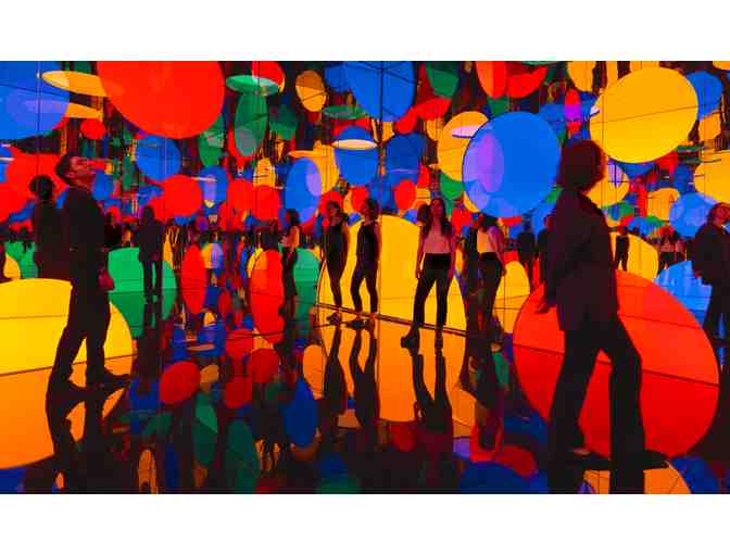 SF Museum of Modern Art (SFMOMA) - 1 Year Dual Membership