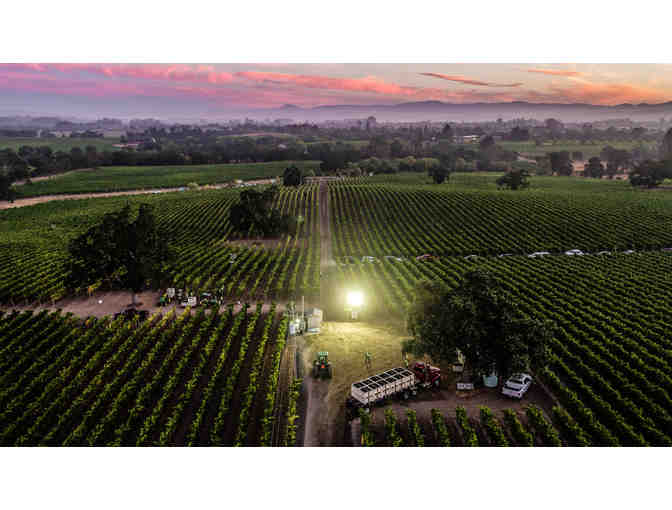 Balletto Vineyards - One Bottle of Pinot and Tasting for Four