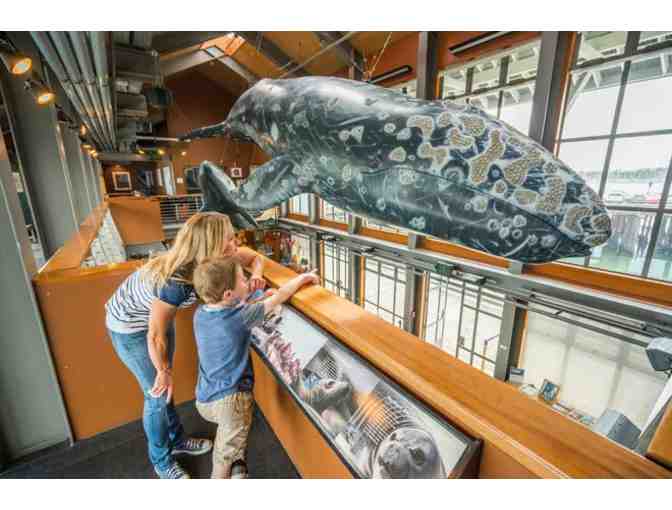 Santa Barbara Museum of Natural History - (4) Guest Passes