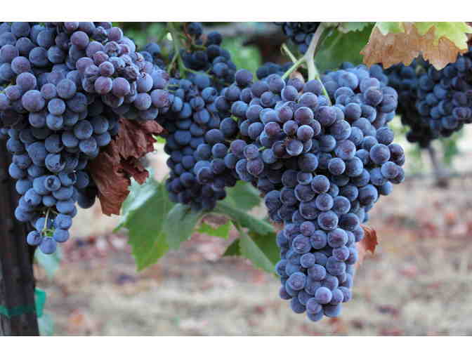 McKahn Wines - Private Wine Tasting for Six