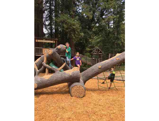 Mount Hermon Redwood Camp - (1) Week of Summer Camp