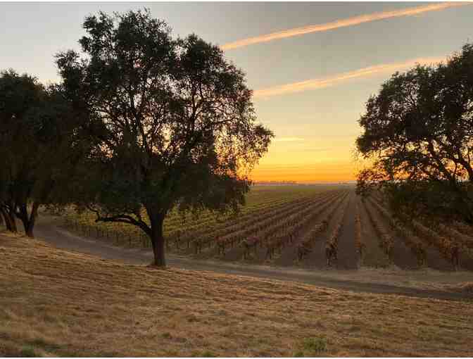 Heringer Estates - Wine Tasting for 6 & Tempranillo