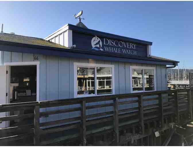Discovery Whale Watch - $140 Gift Card