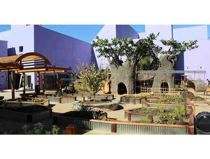 Children's Discovery Museum - Family Four Pack of Tickets ($72 Value)