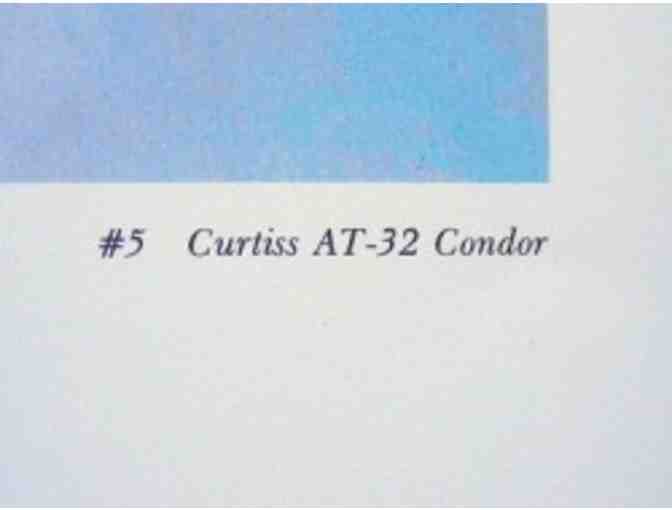 J. Amendola Curtiss AT-32 Print!