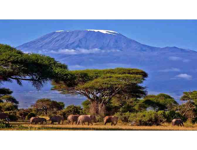 'Kili Climb! - Mt Kilimanjaro, Tanzania!