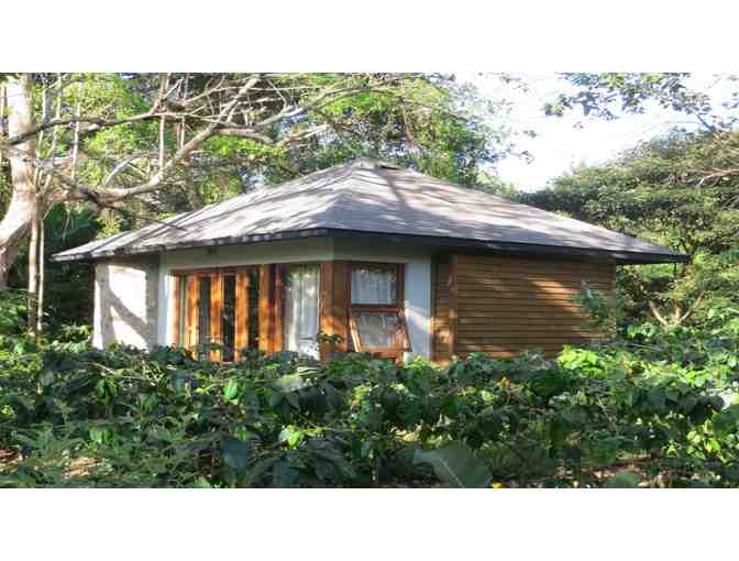 'Kili Climb! - Mt Kilimanjaro, Tanzania!