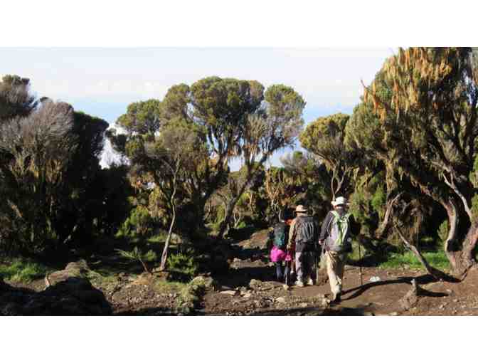 'Kili Climb! - Mt Kilimanjaro, Tanzania!