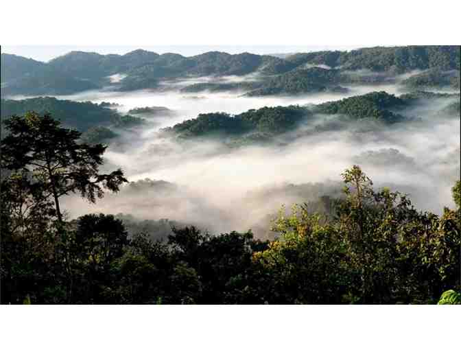 Gorilla Trekking in Rwanda!