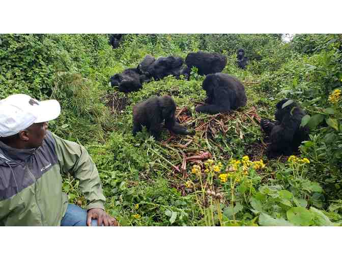 Gorilla Trekking in Rwanda!