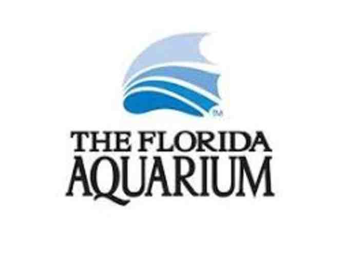 BAG for Kids! Plus MORE! Florida Aquarium! Zoo Tampa! St Pete Museum of History!