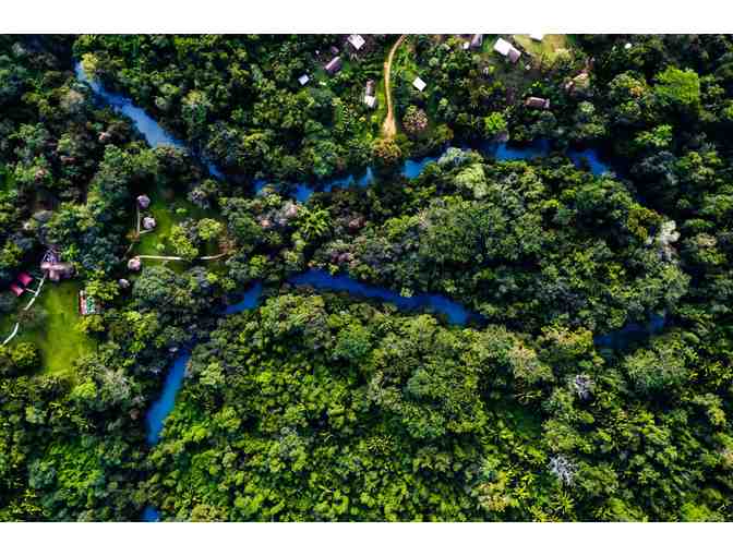 Belize for Chocolate Lovers: Tanager Rainforest Lodge! Trip for TWO! - Photo 3