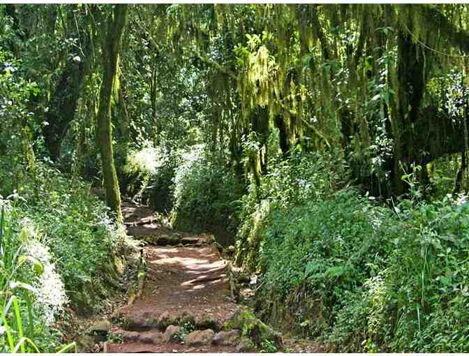 &ldquo;Kili Climb!&rdquo; Mt Kilimanjaro, Tanzania! Trip for TWO! - Photo 2