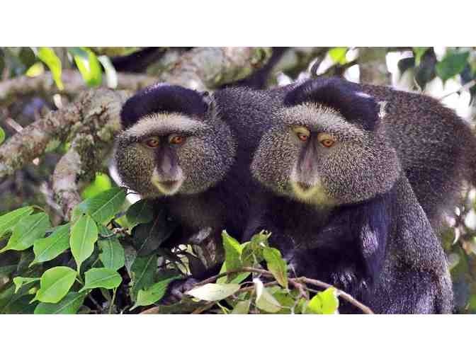 &ldquo;Kili Climb!&rdquo; Mt Kilimanjaro, Tanzania! Trip for TWO! - Photo 3