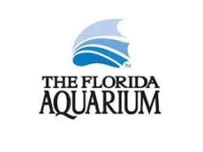 BAG for Kids! Plus MORE! Florida Aquarium! St Pete Museum of History! McDonalds!