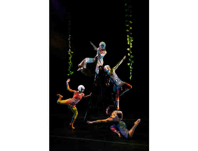 Family Ticket Package to Treehouse Shakers' Under The Tangle On Demand