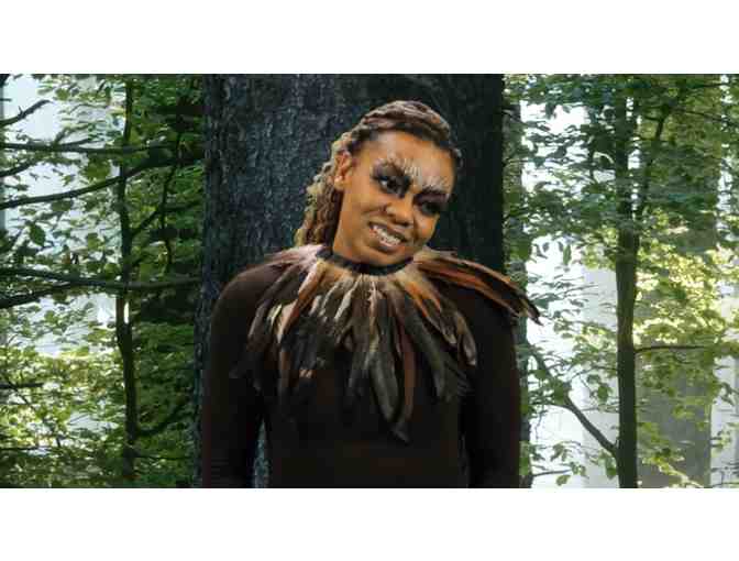 Family Viewing Package to Treehouse Shakers' Pillow Fort, Season I