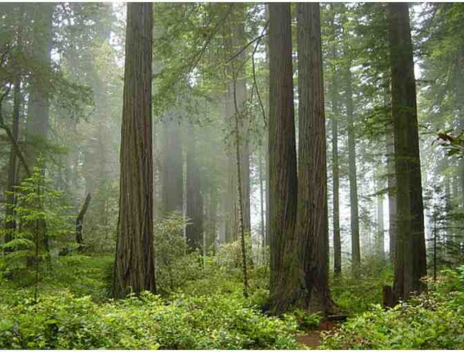 Two Tickets to a Mainstage Production at the Ensemble Studio Theater