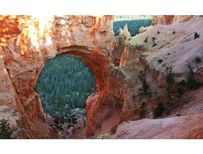 Bryce Canyon Glamping with 3-Night Stay in Glass Skydome with Canyon Sunset Tour for (2) - Photo 4