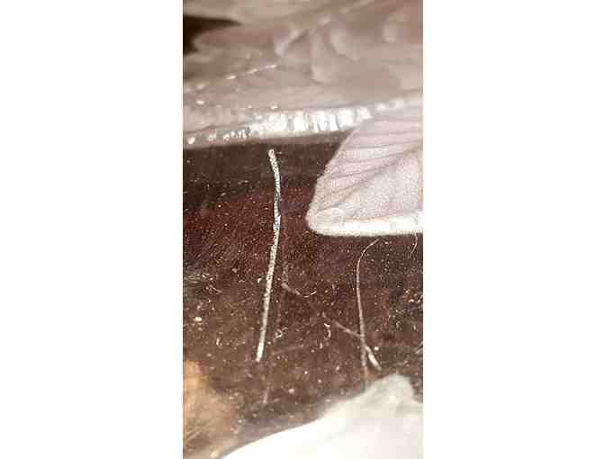 Glass Platter, Rose Pattern