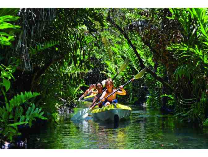 7-Night Two-Bedroom Suite in Mexico - OPENING BID REDUCED