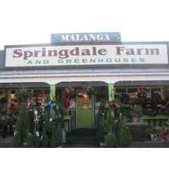 Malanga's at Springdale Farms
