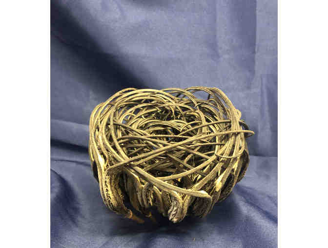 115- Handmade basket/centerpiece and scorpion of devil's claw