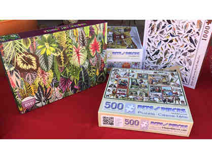 117- Quarantine Puzzle Set