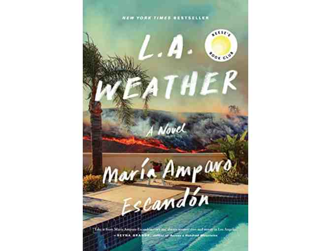 Set of 3 Novels of Family Secrets and Mystery