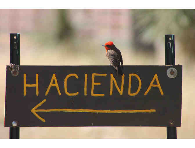 2 Night Stay at Four Bar Cottages