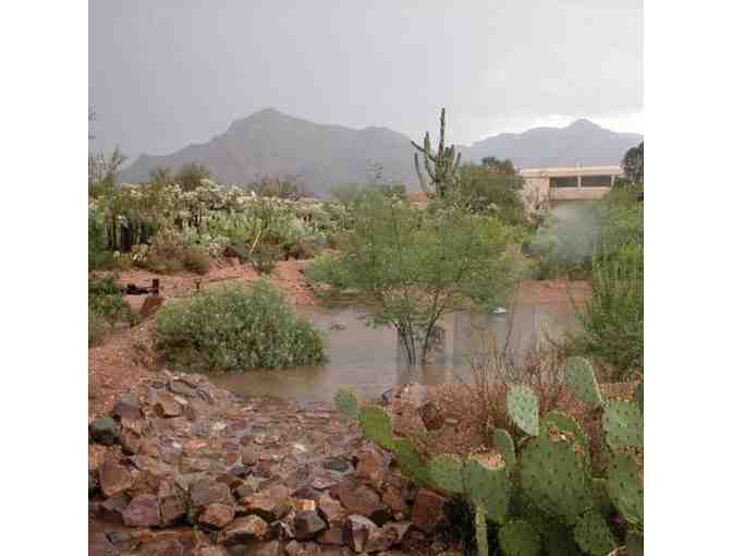 Tohono Chul Family Membership