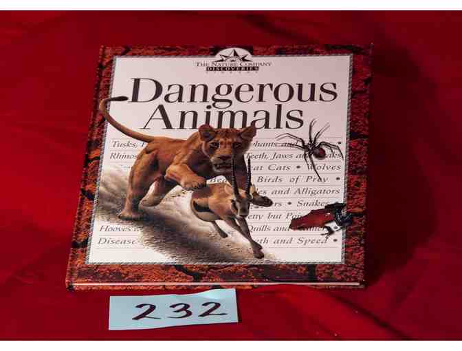 5 Nature Company Discoveries Library