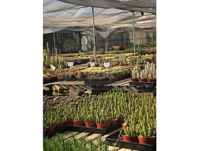 $50 Gift certificate to Bach's Cactus Nursery