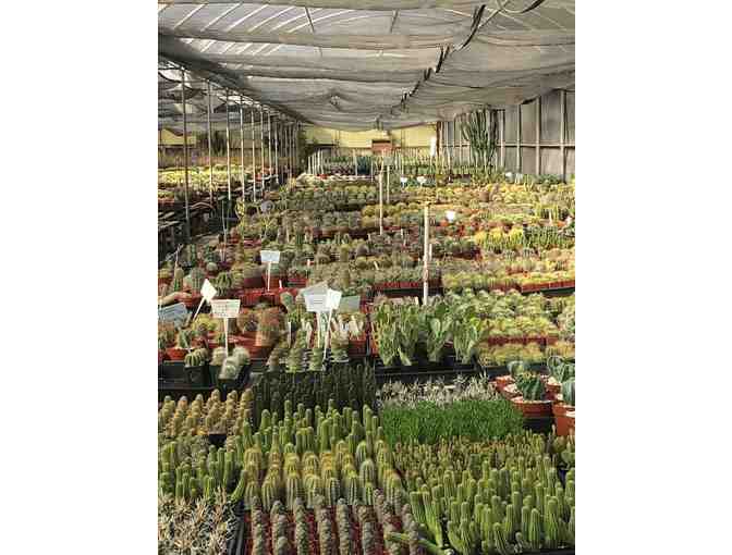 $50 Gift certificate to Bach's Cactus Nursery