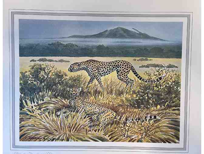 Safari Artwork by Charles Baskerville