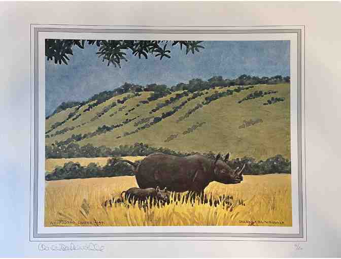 Safari Artwork by Charles Baskerville