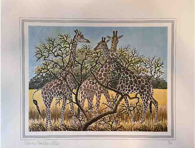 Safari Artwork by Charles Baskerville