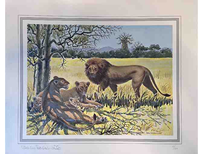 Safari Artwork by Charles Baskerville