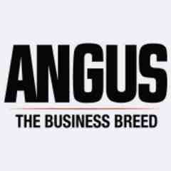 American Angus Association