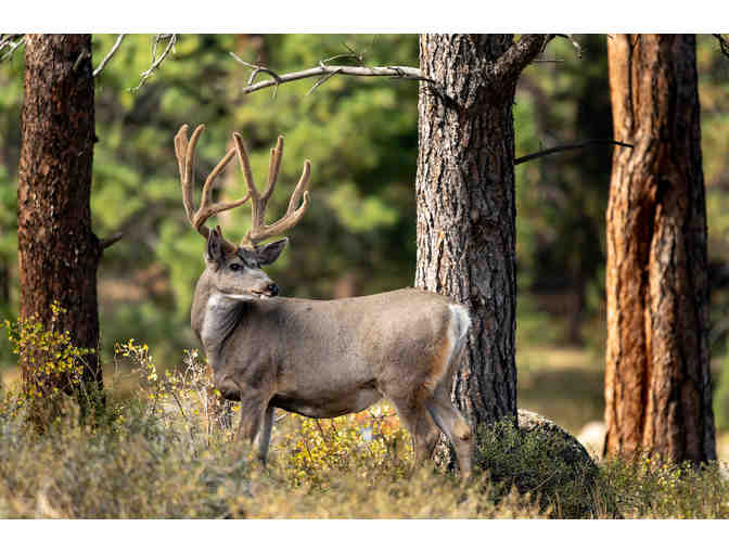 Colorado Front Range Adventure Getaway for 2 with Hotel & Airfare