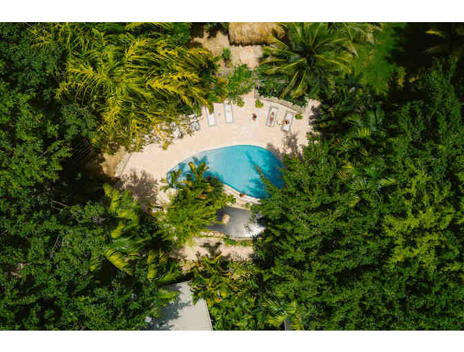 Jungle Retreat at Copal Tree Lodge in Belize for 2