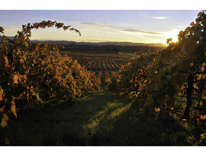 Healdsburg, Holiday in the Sonoma, CA Wine Country