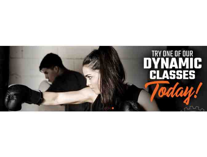 LoCo Depot Training Station / Anytime Fitness - 3 Month Membership