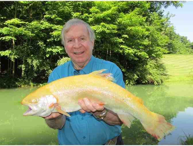 Briarwood Sporting Club - Day of Fishing for 4