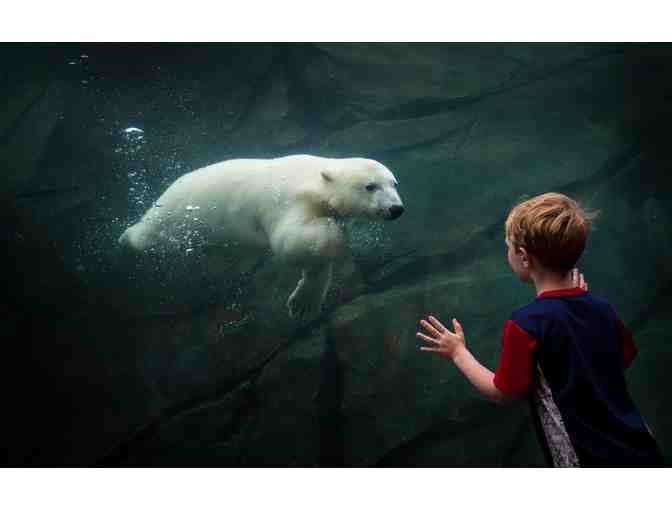 Columbus Zoo and Aquarium - 4 Tickets to Wildlights